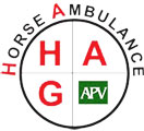 Horse Ambulance